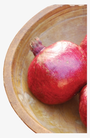 A Past And Future Treasure - Pomegranate