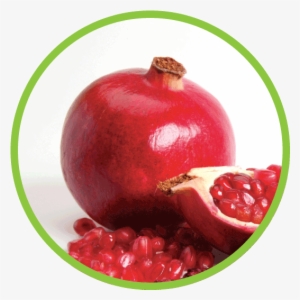 Pomegranate Seeds Png Download - Crispy Green Inc.