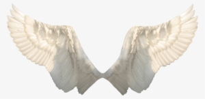 Wings - سكرابز اجنحة