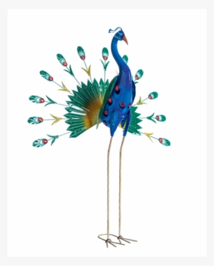 Decorative Garden Bird, Open Tail Peacock - Melinera Oiseau Décoratif