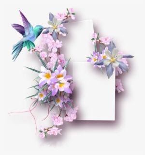 Ftestickers Frame Collage Springflowers Hummingbird - Marco Para Fotos De Mujer Png