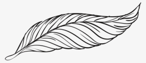 Feather Line Drawing