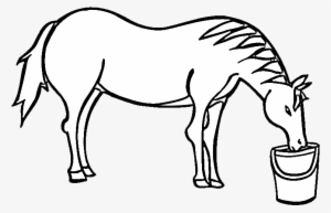 Time For A Drink Coloring Page - Mare