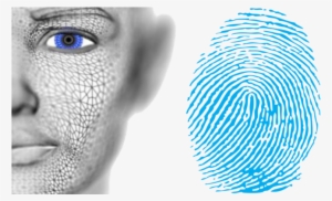 Synaptics Launches Multi-factor Facial And Fingerprint - Fingerprint And Face Recognition