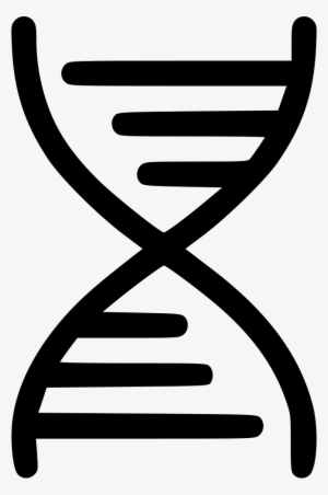 Dna Science Biometric Data Medical Education Matching - Dna Free Clip Art
