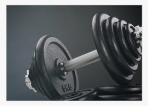 Fitness And Weight Lifting - Dumbbell
