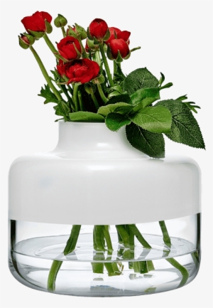 Magnolia - Vase