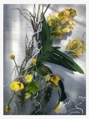 We Invite You To Take A Look At Our Creations In Order - Yellow Iris