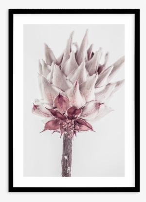 Abstract Protea No Iii - Painting
