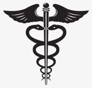 Medical Symbol With Two Snakes And Large Wings - Rod Of Asclepius Vs The Caduceus