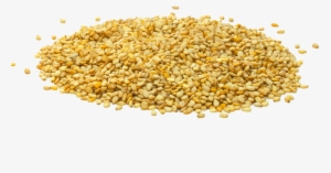 Sesame Seeds Transparent - Gingelly Oil Png