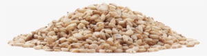 Sesame Seeds Png Image - Gluten-free Diet