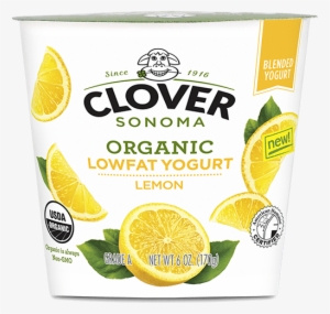 Organic Lemon - Clover Organic Farms Half & Half - 16 Oz Carton