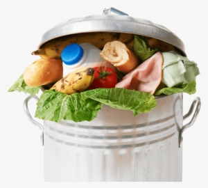Don't Waste Food - Frisch Aus Der Tonne-der Glo Dvd