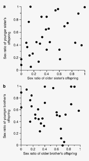 Correlation Between Sisters In Their Offspring Sex - Sex Ratio