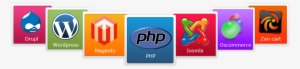 Php, Magento, Wordpress, Jquery Online Teacher - Cms Web Development Services