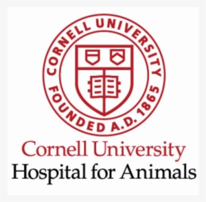 Support Areas - Cornell University Logo