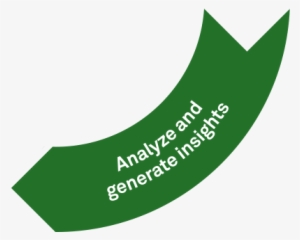 Analyze And Generate Insights