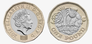 Her Majesty's Treasury Have Unveiled The Final Images - New Pound Coin Fake