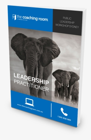 Leadership Practitioner Cover - African Elephant