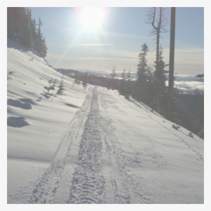 Meta Slider Html Overlay Snow Backdrop - Snow