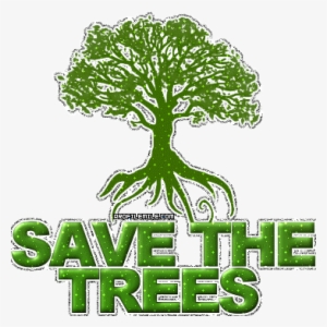 Stop Deforestation - Trees Save The Earth