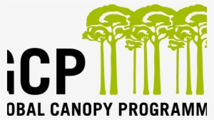 Can Companies Achieve Zero Deforestation In Their Supply - Global Canopy Programme