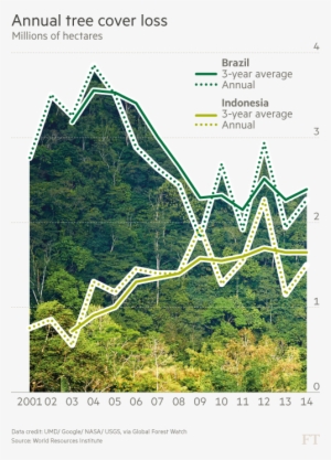 Deforestation In Indonesia 2016