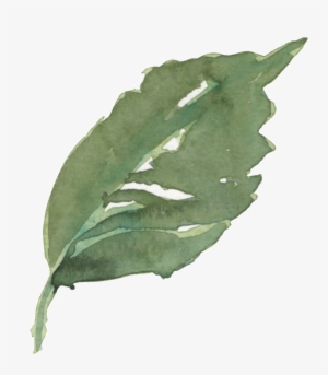 Hand Painted Green Leaves Transparent Decorative - Leaf