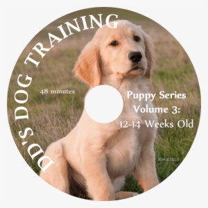Puppy Series Volume - Dog