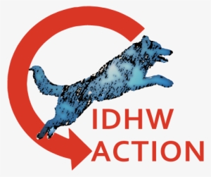 International Dog Health Workshops - Dog Catches Something
