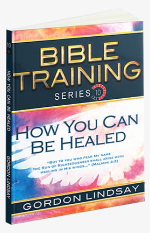 Bible Training Series, Vol - Bible Training Series Vol. 12: Angels And Demons