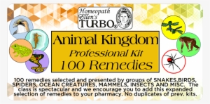 Animal Kingdom Kit - Orchidia