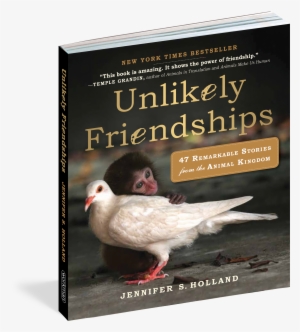Cover - Unlikely Friendships Book