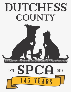 Animal Kingdom Ball- 145th Birthday Party Of The Dcspca - Dutchess County Spca