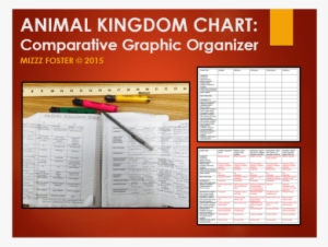 Animal Kingdom Comparative Chart Educents - Educents Inc.