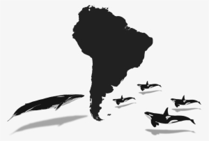 2018 - South America Silhouette