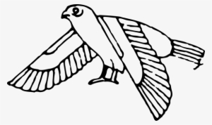 Ancient, Bird, Egypt, Egyptian, Sacred - Ancient Egypt Animal Drawings