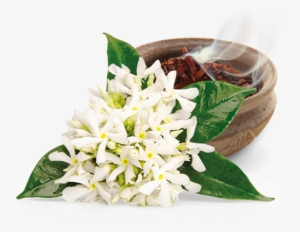 Its Luxurious Oil Is Relaxing And Soothing - Neroli (citrus Aurantium) Essential Oil 100% Pure