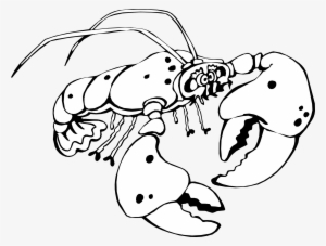 Lobster Clipart Of A Black And White Crayfish Veran - Clip Art