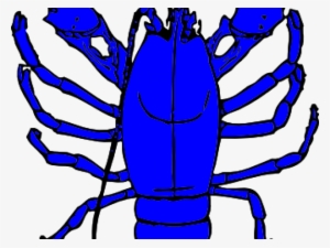 Lobster Clipart Crayfish - Red Lobster Clip Art