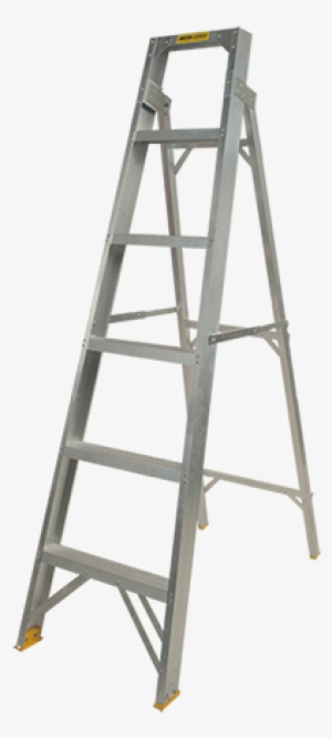 Ladder