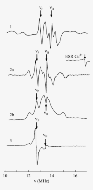 Matrix Endor Spectra Of 2 (spectrum 1) And Cu 2 (spectra - Diagram
