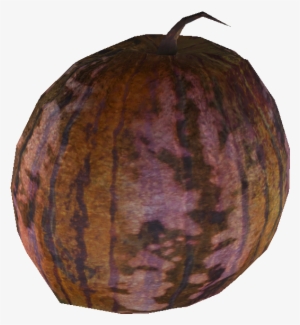 Institute Gourd - Wiki
