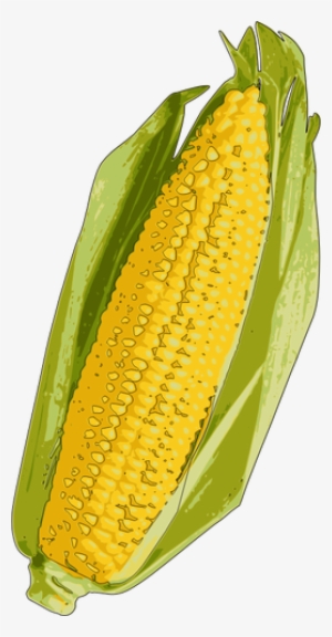 Corn Clipart Corn Roast - Yellow Corn
