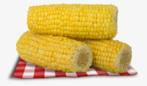 Corn - Corn On The Cob