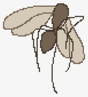 Mosca - Membrane-winged Insect