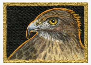 Winter Hawk Ii - Golden Eagle