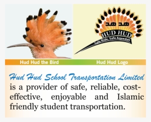 Hud Hud School Transportation Ltd - Bayonet Point Middle School