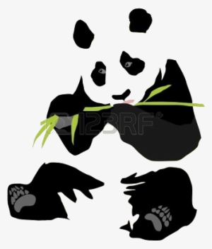 The Breeding Of Giant Pandas Occurs Between The Ages - Panda Eating Bamboo 2 Shower Curtain